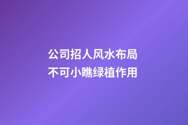 公司招人风水布局 不可小瞧绿植作用